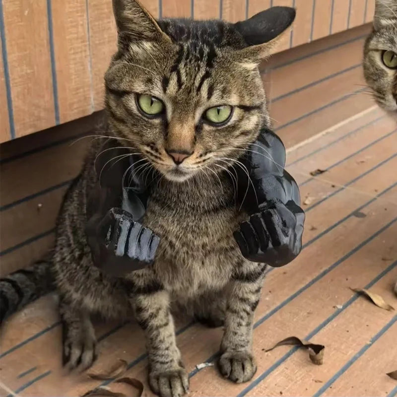 MusclePaws™ Funny Pet Costume